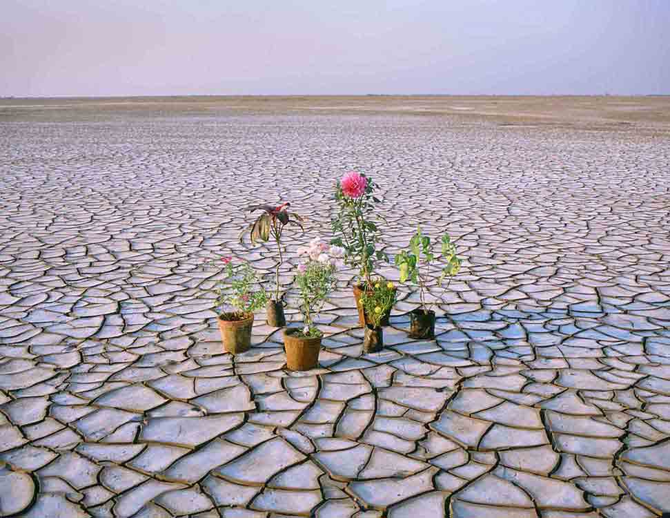 Flood-Plain Photograph Mike Marshall