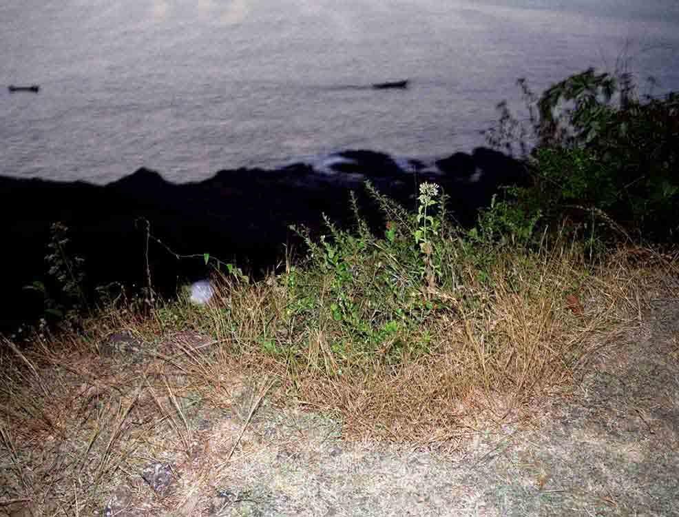 Boats from a Cliff 2004 C Print 95cm x 120cm 